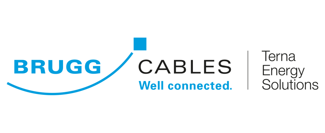 Business controller, 1. image